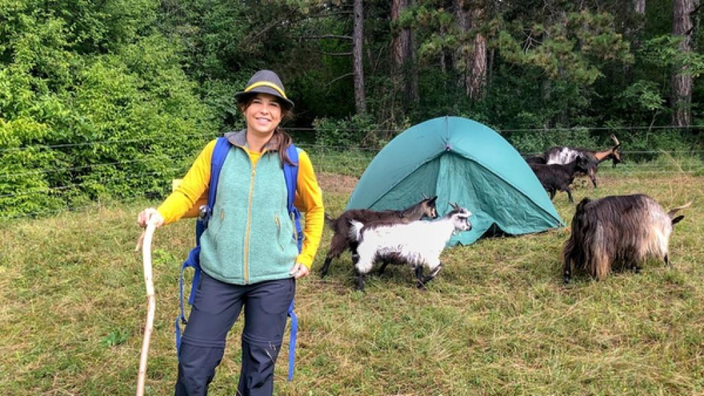 Zelten mit den Ziegen (05) | Anna hat als Hirtin viel gelernt und kann die Herde alleine führen.