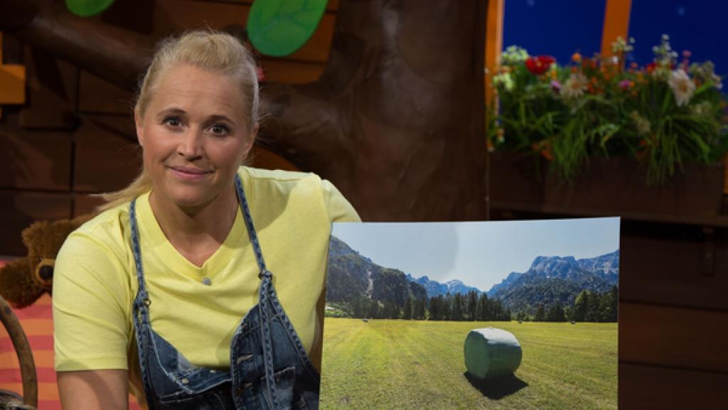 Singa und der geheimnisvolle Ballen