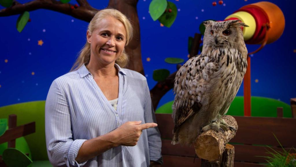 Singa erzählt von Straßenlaternen.