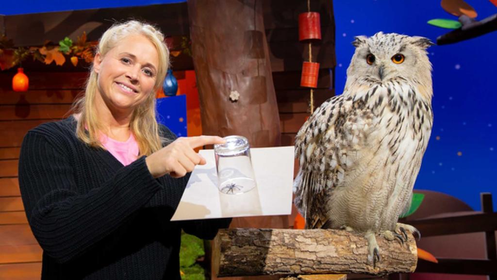 Singa zeigt uns ihr Spinnentaxi.