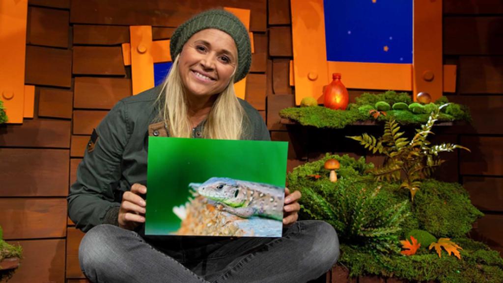 Singa und eine Zauneidechse