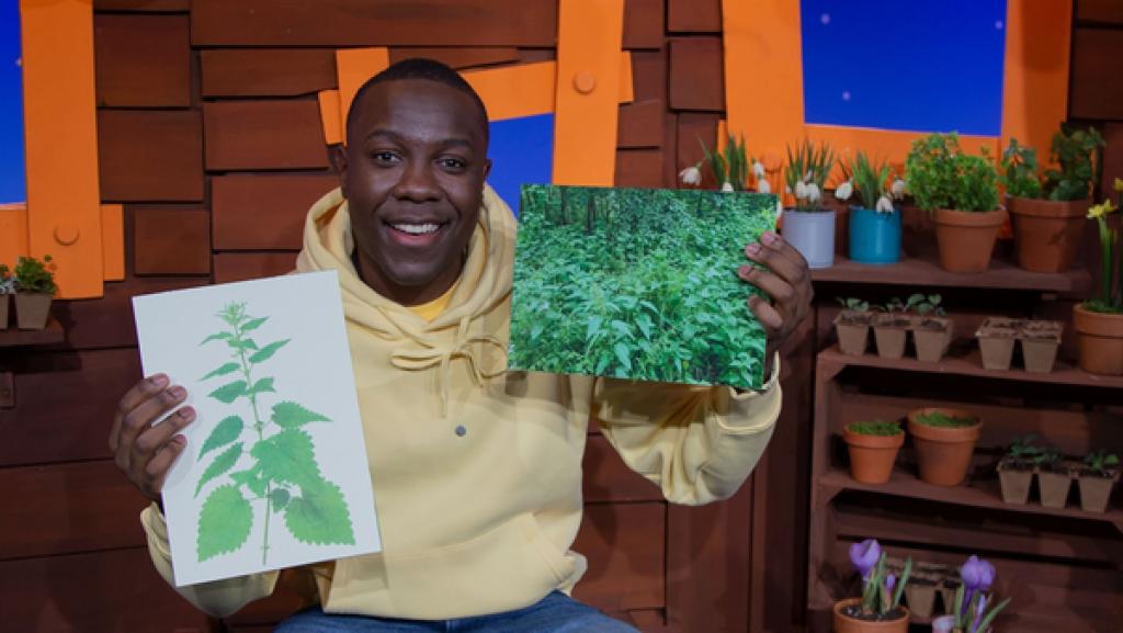 Eigentlich mag Matondo Brennnesseln ja nicht sonderlich, weil sie so auf der Haut brennen, wenn man sie berührt. Um so erstaunter ist er aber, als er erfährt, dass die Brennnessel sogar das Heilkraut des Jahres 2022 ist.