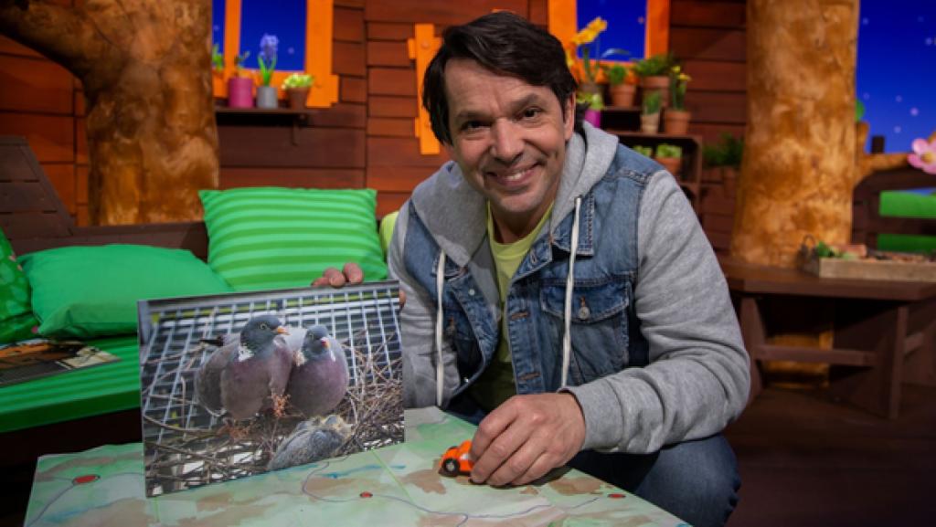 Woher wissen Brieftauben eigentlich, wohin sie die Briefe bringen sollen? Das hat Juri sich auch gefragt und etwas recherchiert.