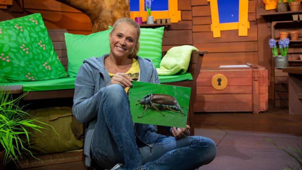 Singa stellt ihr Tier des Monats vor: Den Maikäfer.