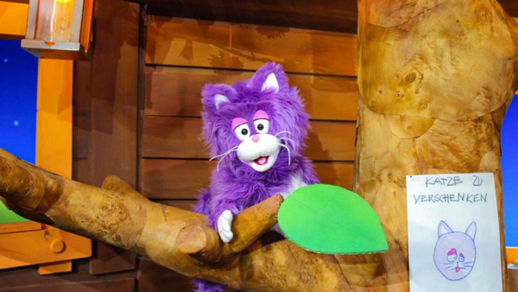 Kann ein Hund wie eine Katze auf Bäume klettern, was denkst du?