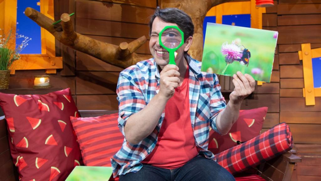 Juri beobachtet eine Sommerwiese.