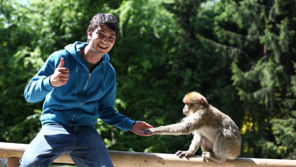 Der Affen-Check / Can (rechts) mit Berberaffe am Affenberg Salem | Bild: BR/ megaherz gmbh/Hans-Florian Hopfner
