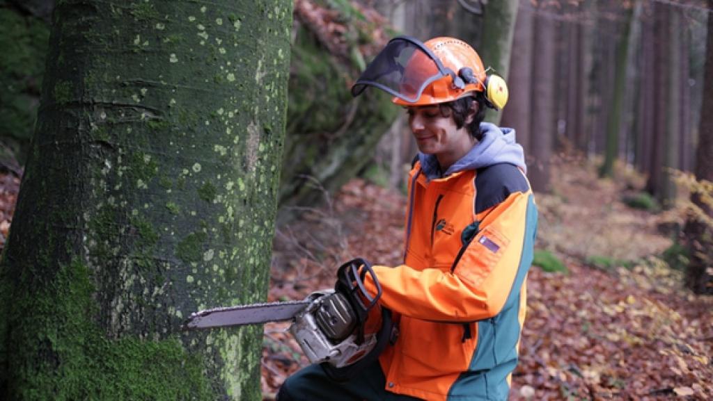 Der Holz-Check / Checker Can mit einer Motorsäge am Baum | Bild: BR/megaherz gmbh/Hans-Florian Hopfner