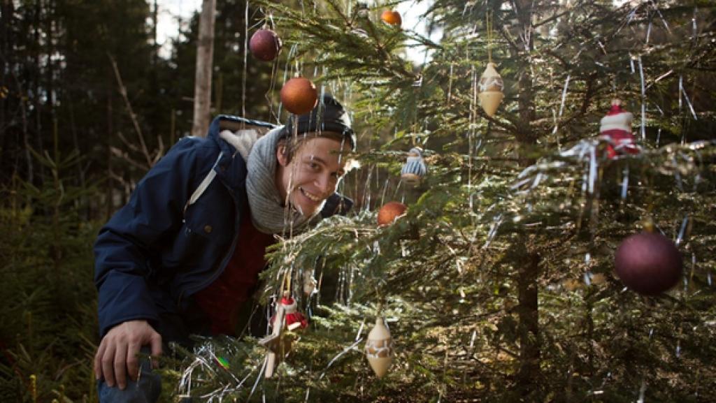 Der Christbaum-Check / Checker Tobi hinter einem Christbaum. | Bild: BR/megaherz gmbh/Hans-Florian Hopfner