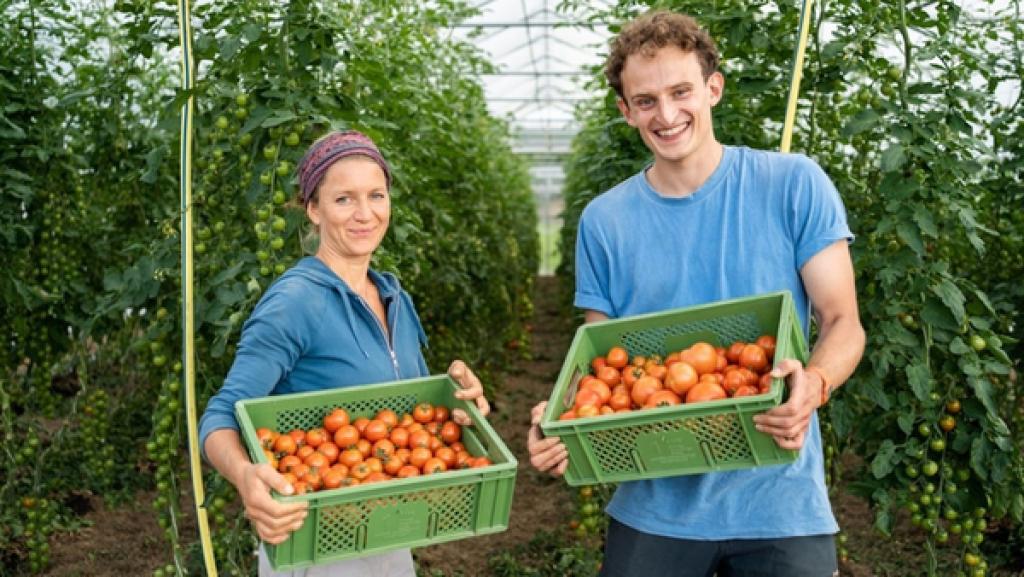 Ernähre die Erde! | Rechte: BR | megaherz gmbh | Jonas Egert Ernähre die Erde | Julian und Gärtnerin Claudia nach einer erfolgreichen Tomatenernte. | Bild: BR | megaherz gmbh | Jonas Egert