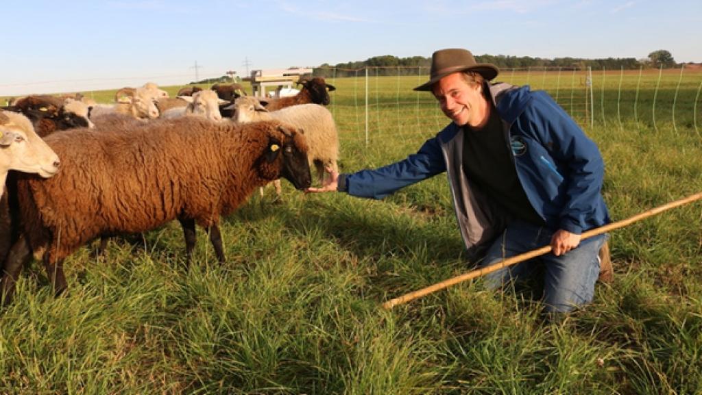 Ausgebrochene Schafe?! / Checker Tobi und die Schafherde | Bild: BR /megaherz GmbH