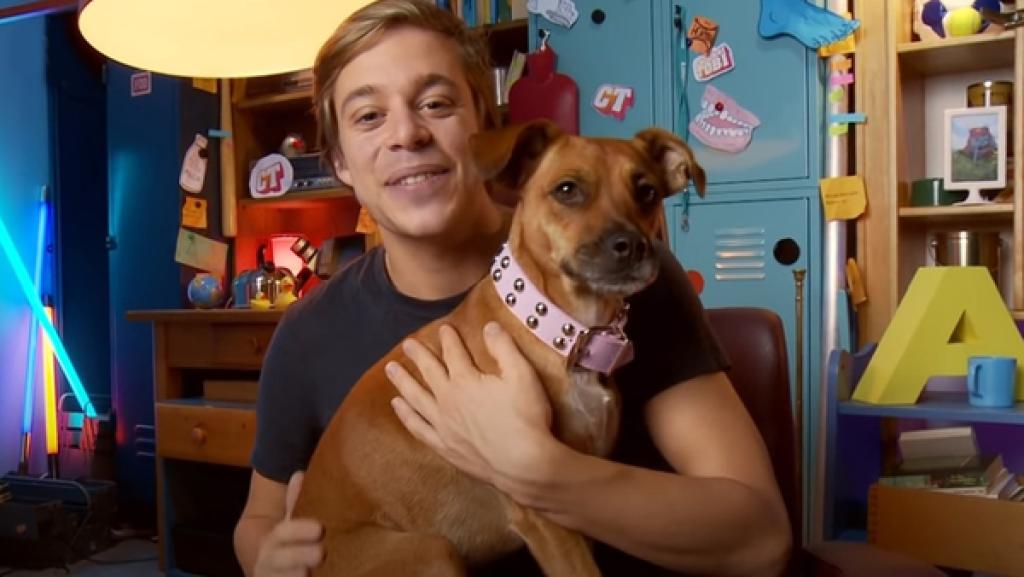 Hunde · Stadt auf zwei Kontinenten · Insekten | Rechte: BR / megaherz GmbH Hunde | Stadt auf zwei Kontinenten | Insekten (12) / Warum hecheln Hunde? | Bild: BR / megaherz GmbH