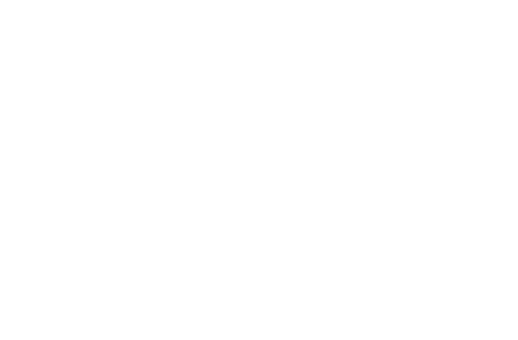 Logo "Checkpoint"