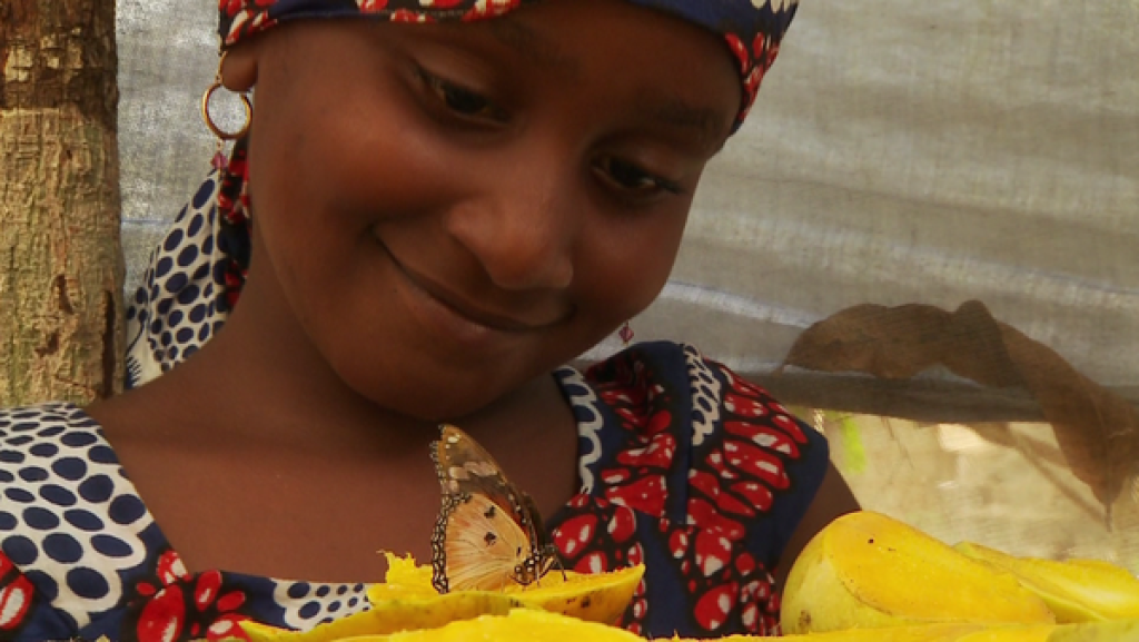 Leckere Muscheln und bunte Falter | Rechte: SWR Mein Burder und Ich auf Sansibar: Leckere Muscheln und bunte Falter