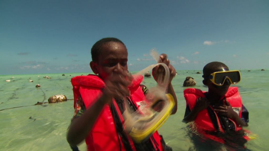 Seetang und Badeschwamm | Rechte: SWR Awena und Abduli: Tauchen nach Badeschwämmen