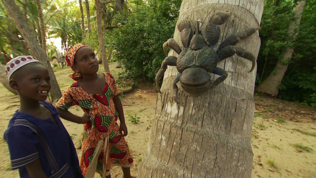 Urzeittiere | Rechte: SWR Mein Bruder und ich: Urzeittiere