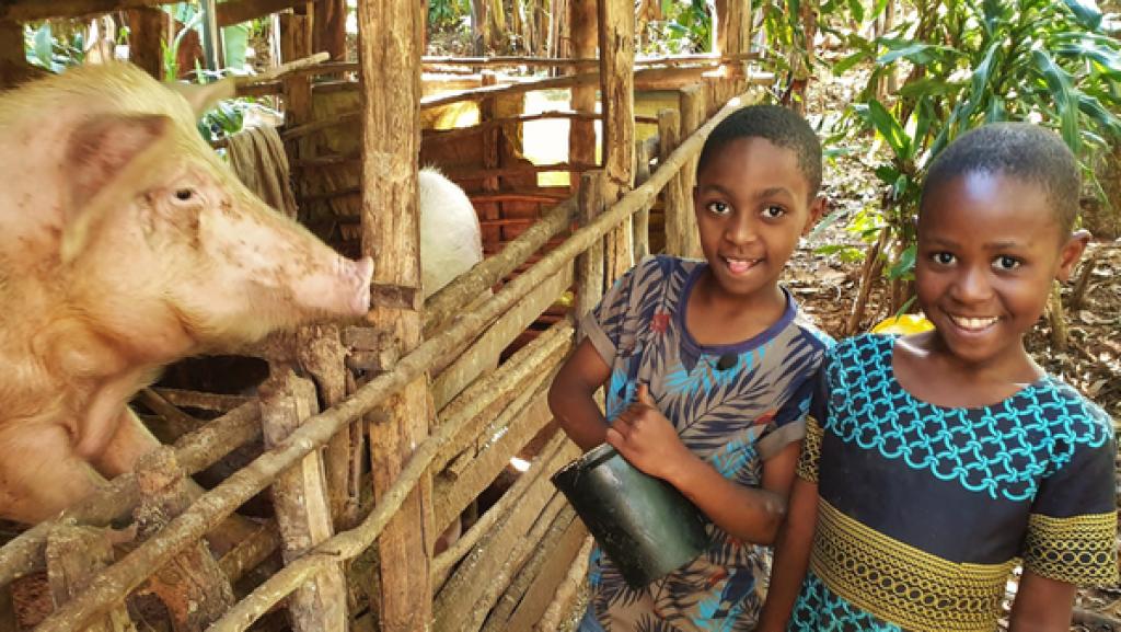 Neema und Joshua: Unsere kleine Farm