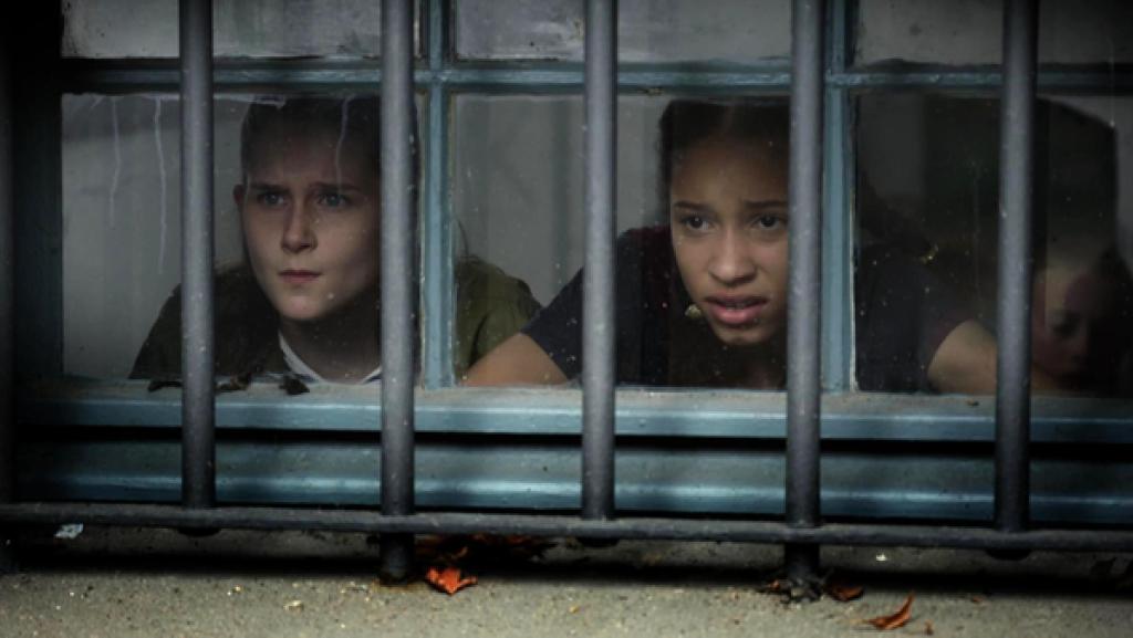 Lisha und Mia schauen durch ein Fenster vor dem Metalgitter ist.