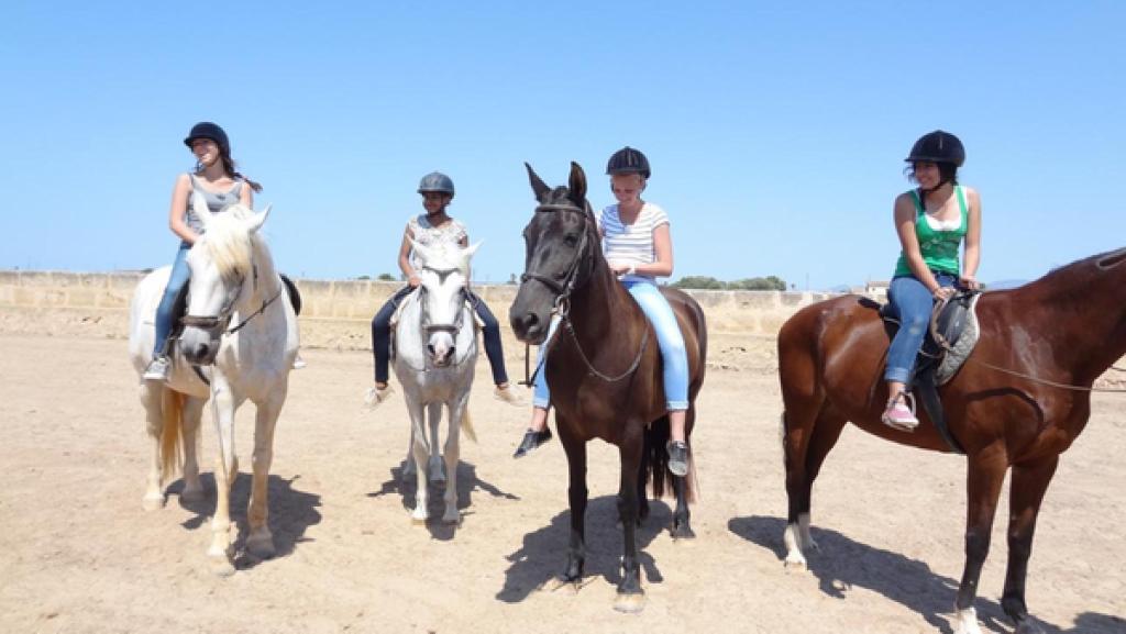 Der vierzehnte Tag | Rechte: ZDF Der vierzehnte Tag