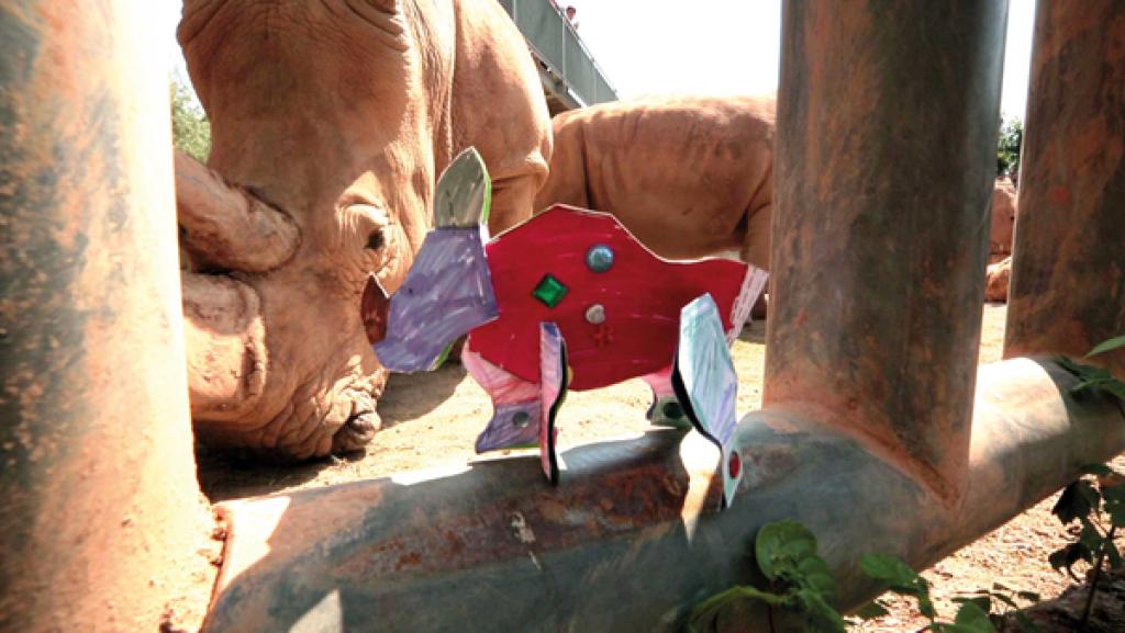 Stecknashorn | Rechte: KiKA Stecknashorn | Rechte: KiKA