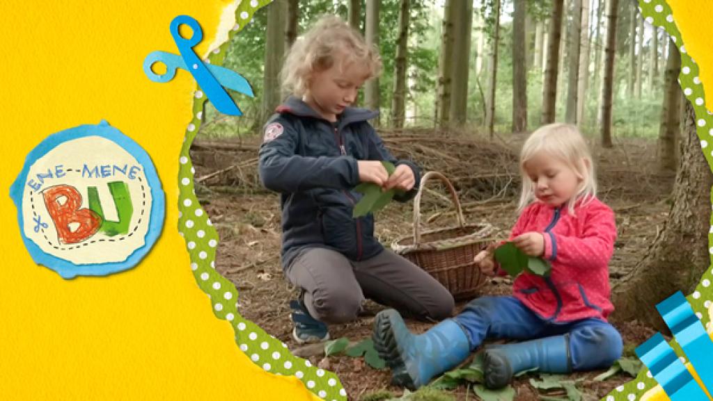 Zwei Mädchen legen im Wald ein rundes Mandala aus Tannenzapfen, Blättern und Tannenzweigen.