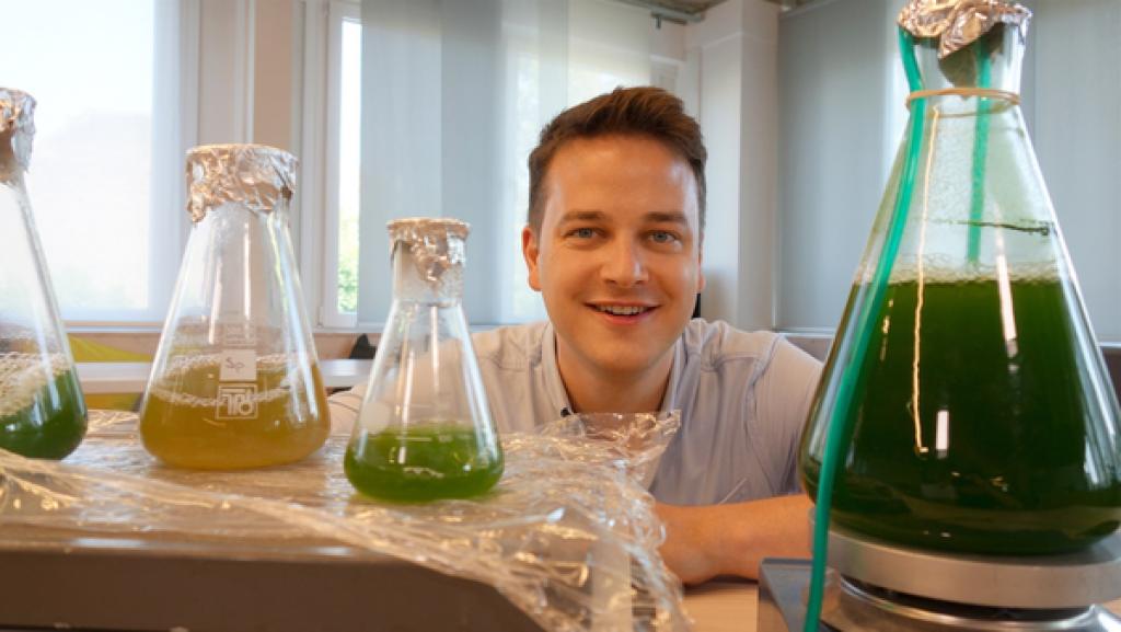 Felix mit Glasgefäßen, in denen sich Mikroalgen in unterschiedlicher Konzentration befinden.
