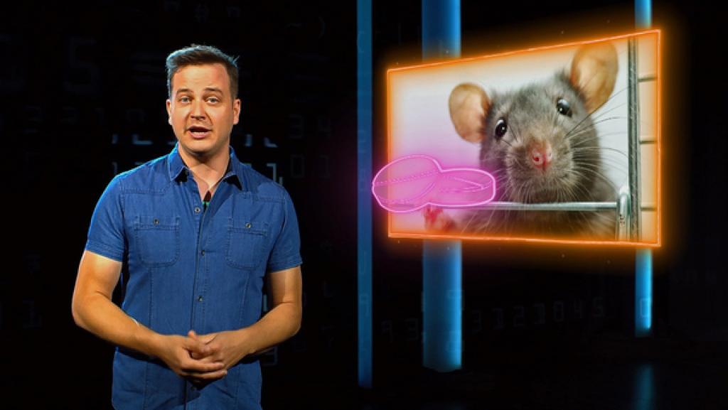 Eine Zukunft ohne Tierversuche - geht das überhaupt?