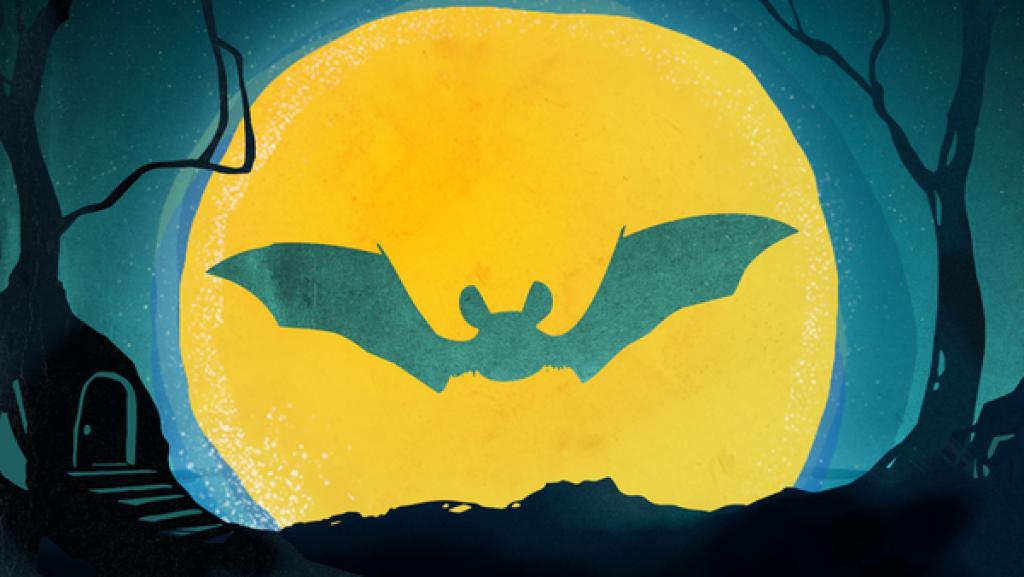 Fledermaus | Rechte: KiKA