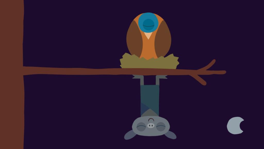 Vogel und Fledermaus schlafen.