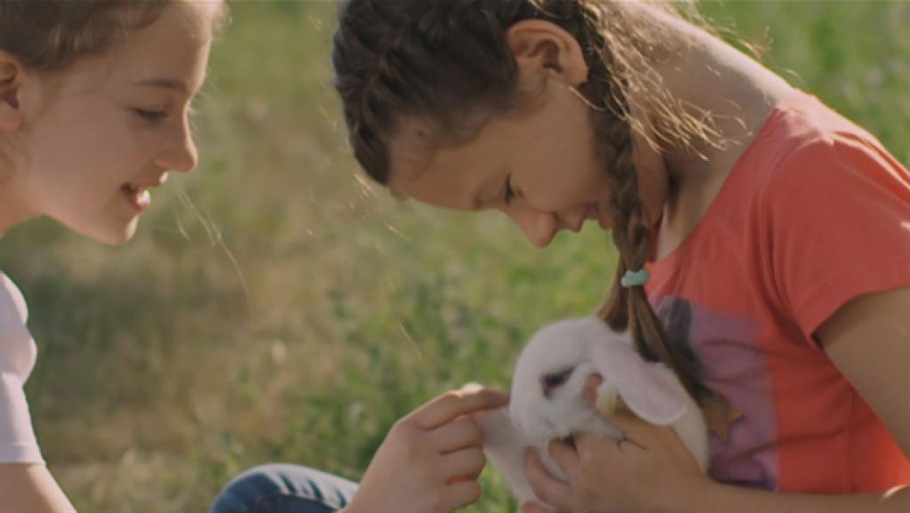 Kika wünscht sich nichts sehnlicher als ein Haustier. Gemeinsam mit ihrer besten Freundin Maša findet sie ein Kaninchen, das ein neues Zuhause sucht. Die beiden beschließen, es zu adoptieren und heimlich bei Kika zuhause unterzubringen.