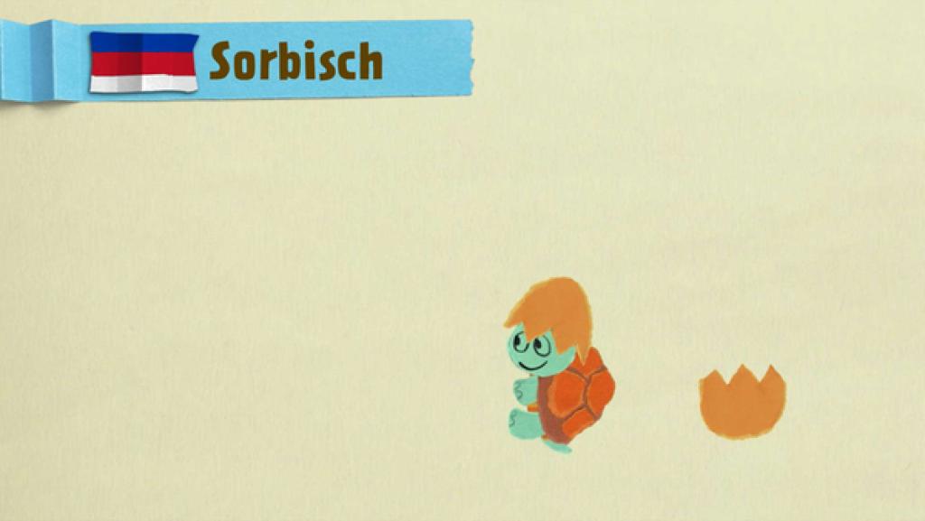 Eine Schildkröte mit Helm | Rechte: KiKA Eine Schildkröte mit Helm | Rechte: KiKA