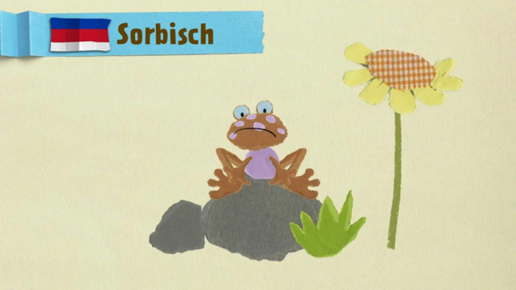 Der Frosch braucht eine Brille | Rechte: KiKA Der Frosch braucht eine Brille | Rechte: KiKA