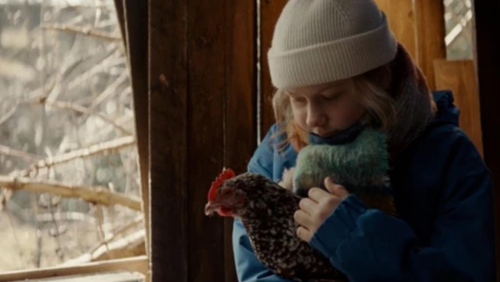 Hai oder Hyäne | Rechte: KiKA Hai oder Hyäne | Rechte: KiKA