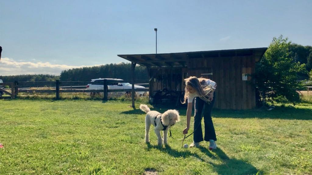 Lilli und Shira in der Hundeschule.