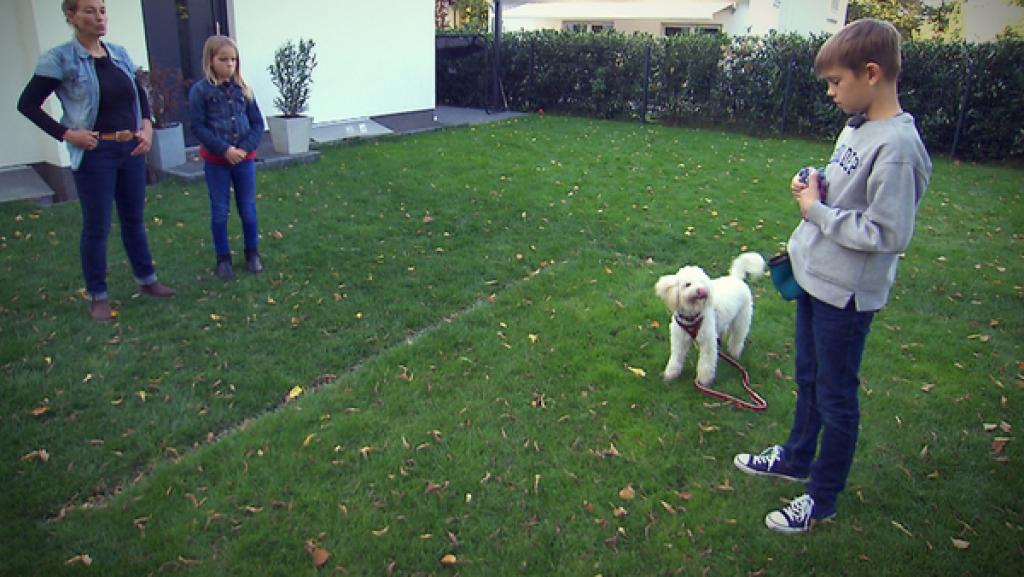 Training mit Lehrerin, einem Mädchen und übenden Jungen mit Hund