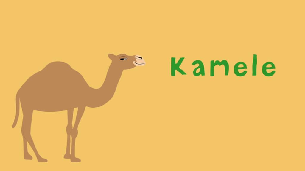 Kamele | Rechte: KiKA/2018 Igloo Productions Ltd. Kamele