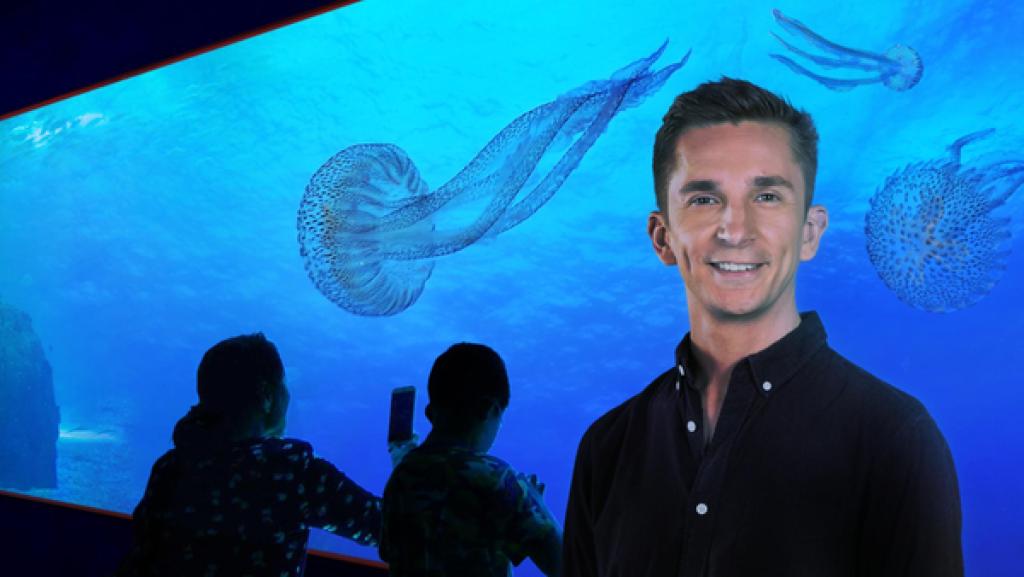 PUR+ - Glibber - Geister im Meer (Quallen)