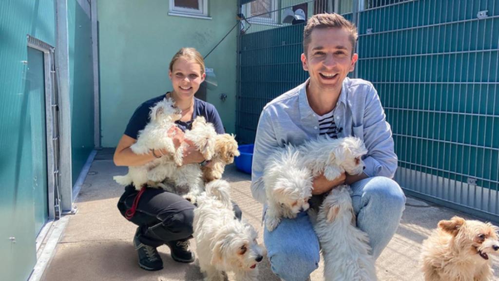 PUR+ - Haustier - Retter - Tierheim