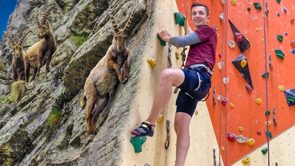 PUR+ - Tierische Rekorde