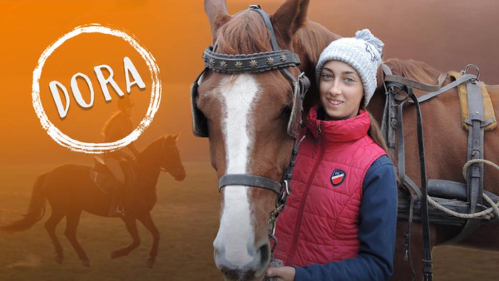 Mädchen steht neben einem Pferd und hält es an den Zügeln