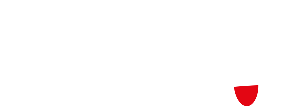 Logo "Schloss Einstein"