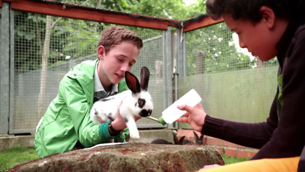 Schloss Einstein (827) | Rechte: Saxonia Schloss Einstein (827)