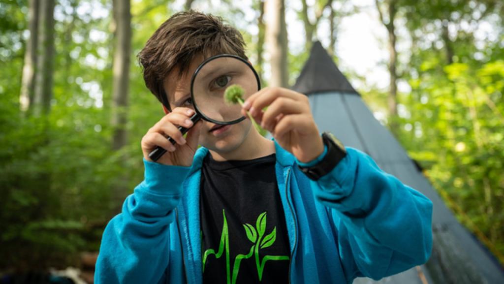 Schloss Einstein (981)