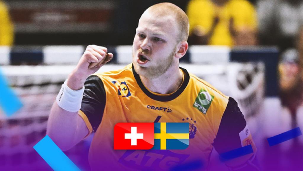 Zusammenfassung Schweiz Schweden