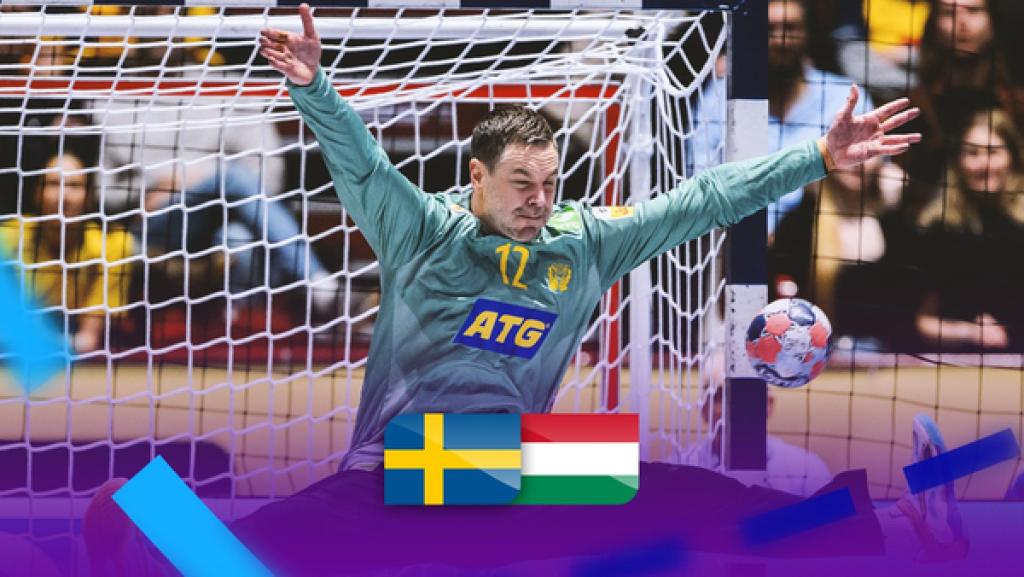 Zusammenfasung Schweden Ungarn 