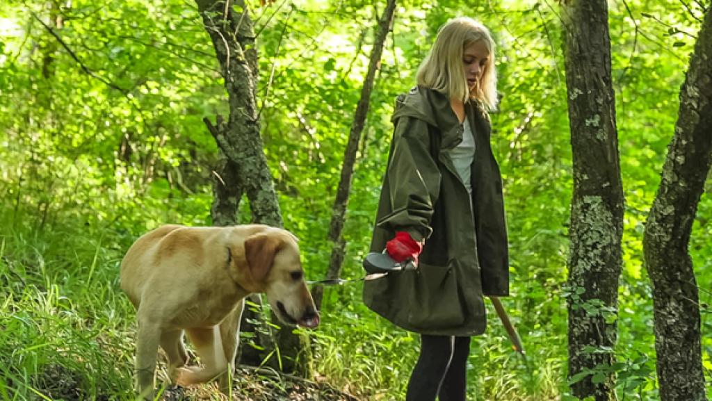 stark! - Zala - Mit dem Hund auf Trüffelsuche