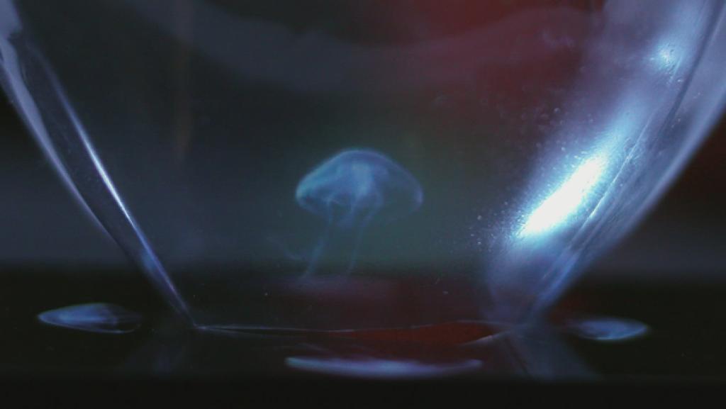 Wie erstelle ich ein Hologramm? | Rechte: KiKA Wie erstelle ich ein Hologramm? | Rechte: KiKA