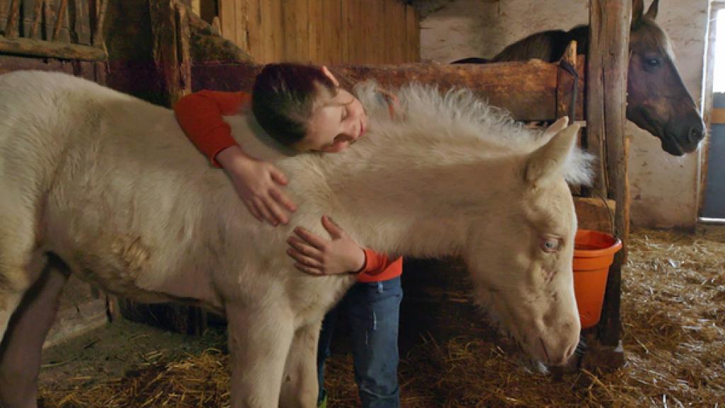 Lucy mit ihrem Fohlen