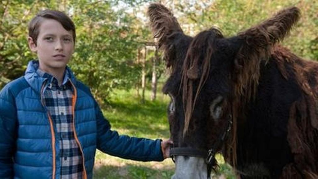 Ein Junge hält einen Esel