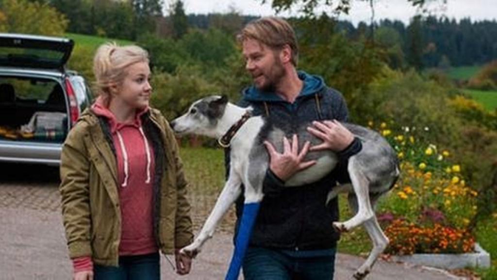 Ein Mann trägt einen bandagierten Hund und unterhält sich mit einem Mädchen